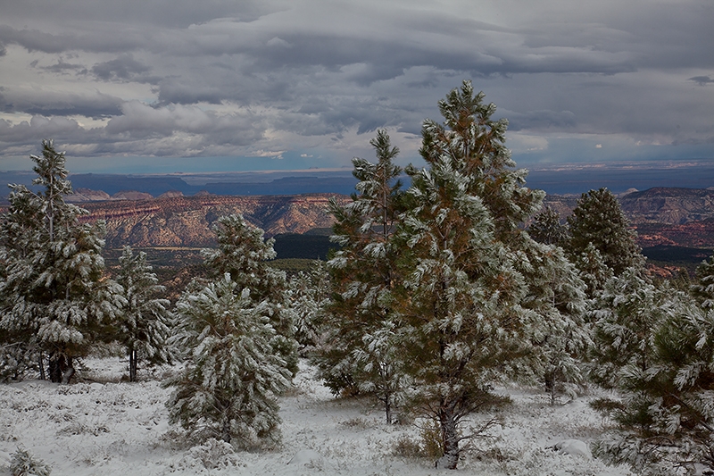 Im Capitol Reef NP scheint schon die Sonne